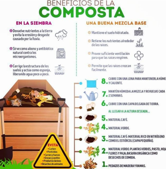 Compostaje Una Manera De Nutrir La Tierra De Tu JardÍn La Revista De